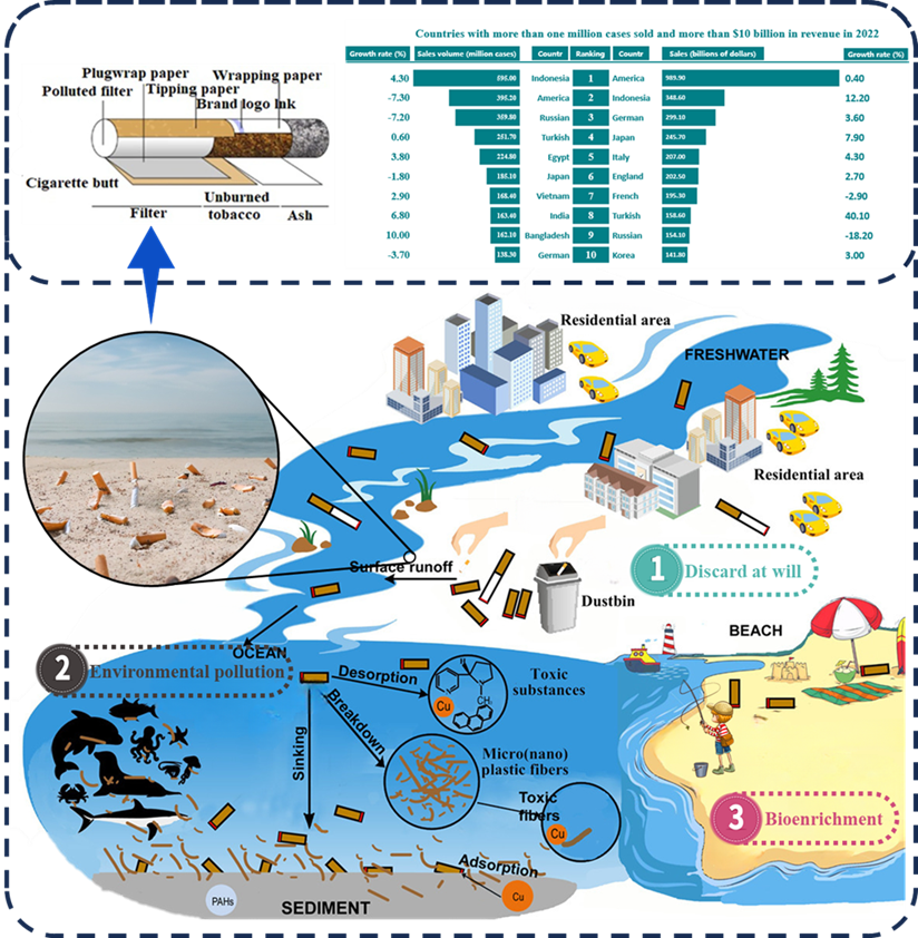 综述：探索烟头中低维材料在能源领域的应用潜力